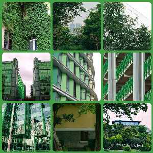 A Green photo montage