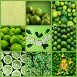 A Lime photo montage