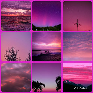A Magenta photo montage