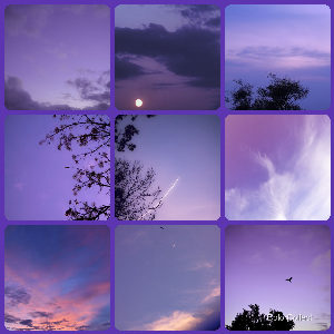 A Violet photo montage