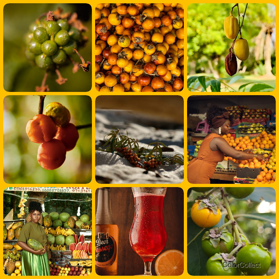A ColorCollect photo montage in Amber, nine real-world photos matching the color.