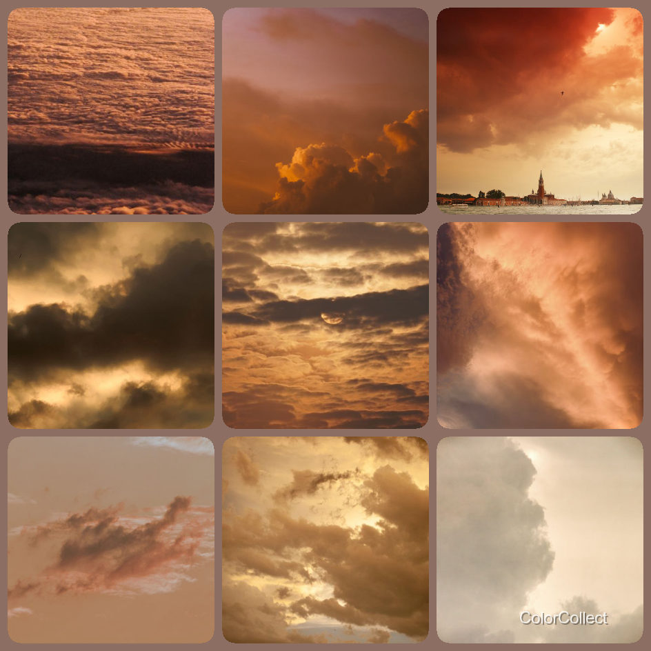 A ColorCollect photo montage in Brown, nine real-world photos matching the color.