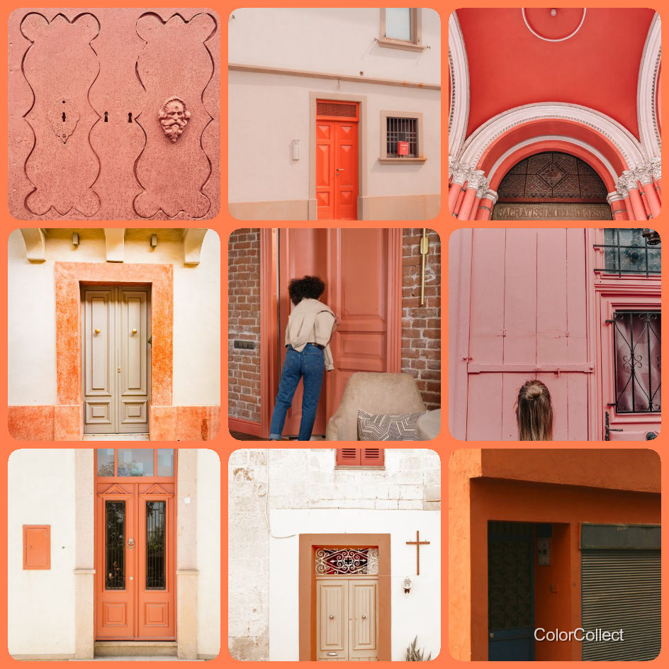 A ColorCollect photo montage in Coral, nine real-world photos matching the color.