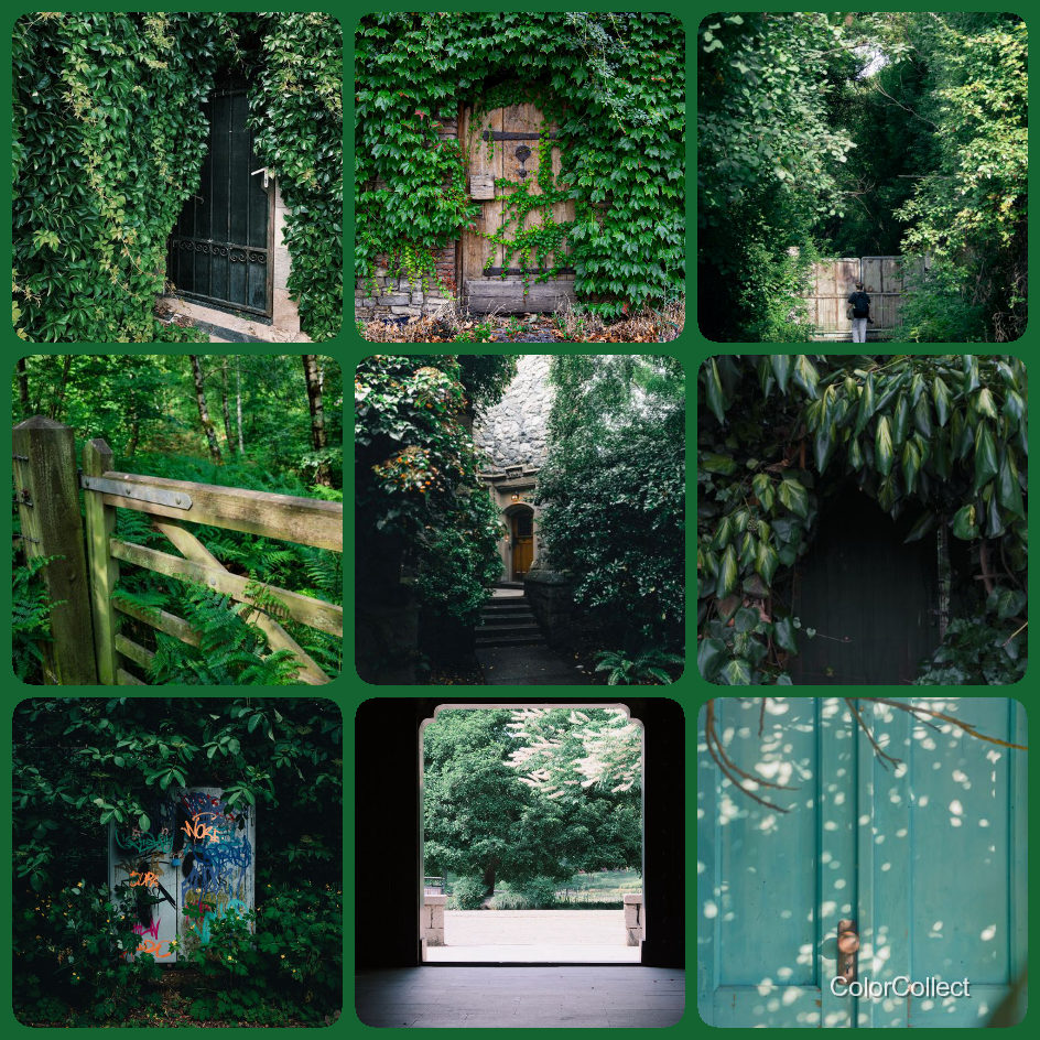 A ColorCollect photo montage in Forest, nine real-world photos matching the color.