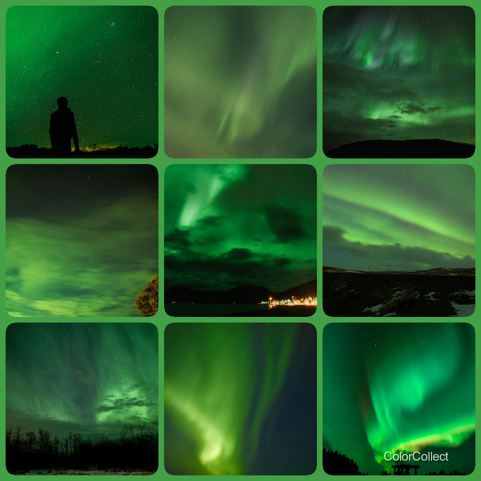 A ColorCollect photo montage in Green, nine real-world photos matching the color.