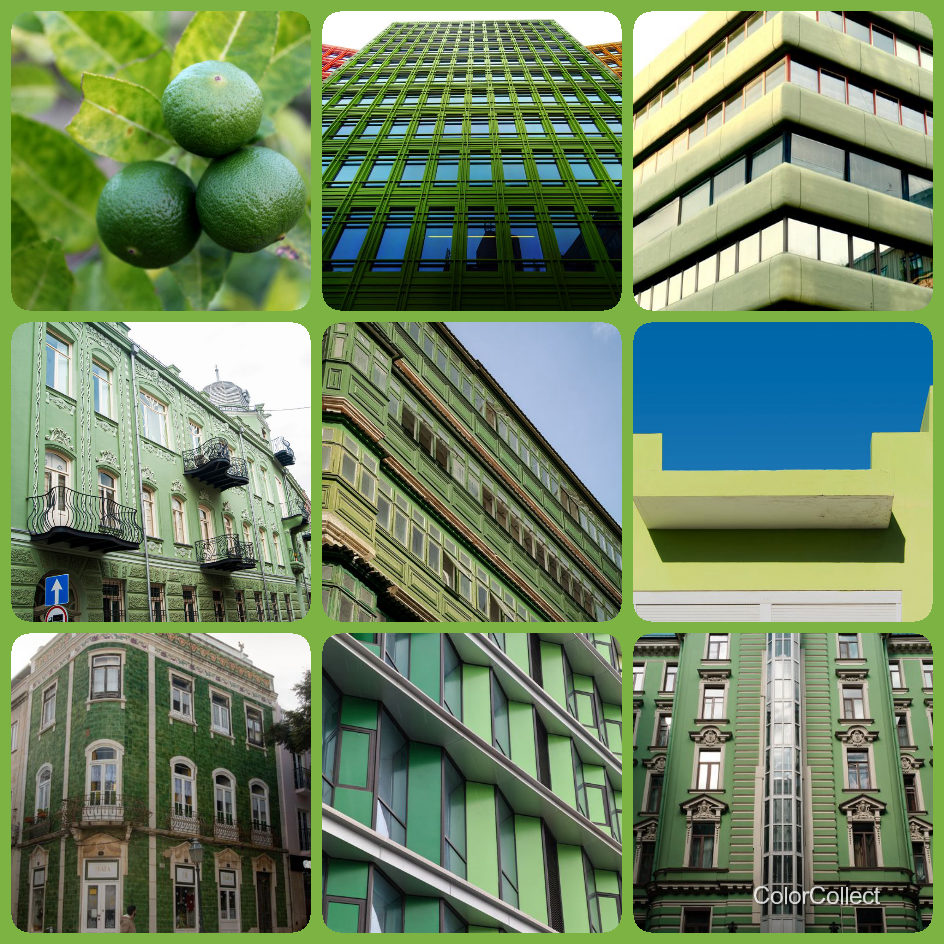 A ColorCollect photo montage in Lime, nine real-world photos matching the color.
