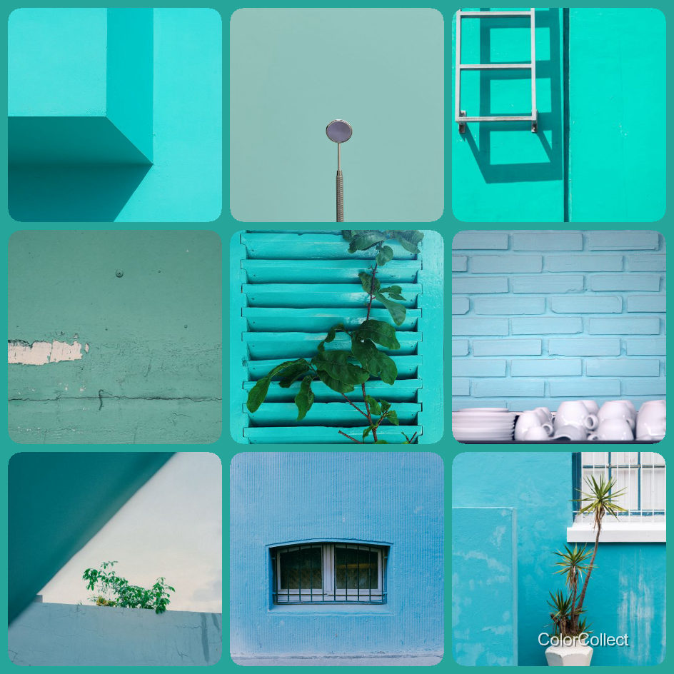A ColorCollect photo montage in Mint, nine real-world photos matching the color.