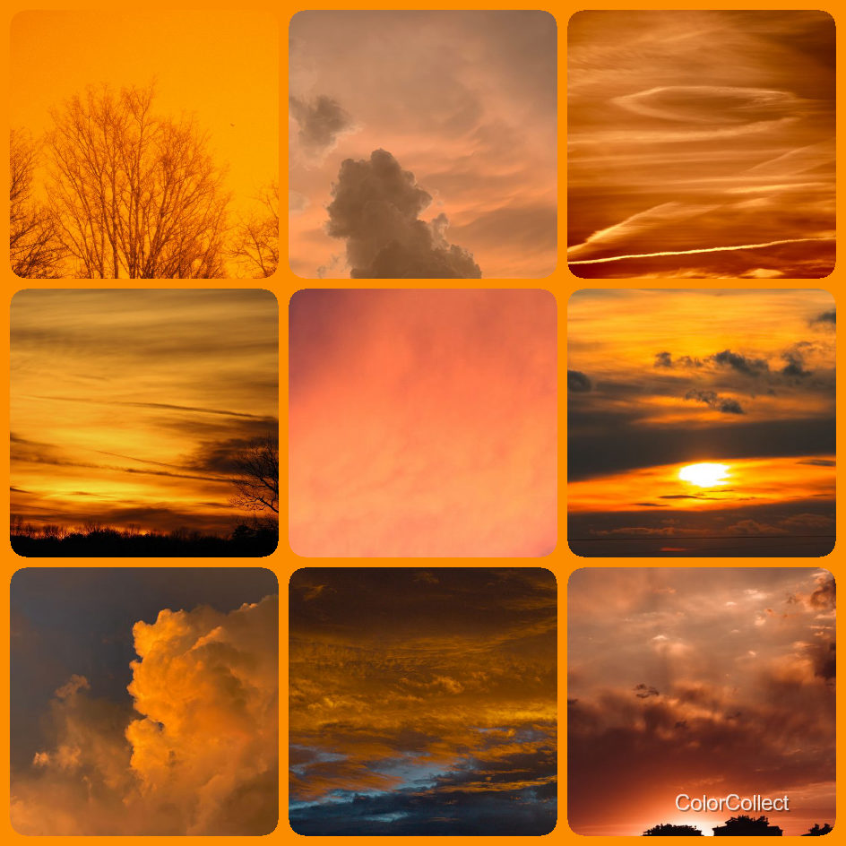 A ColorCollect photo montage in Orange, nine real-world photos matching the color.