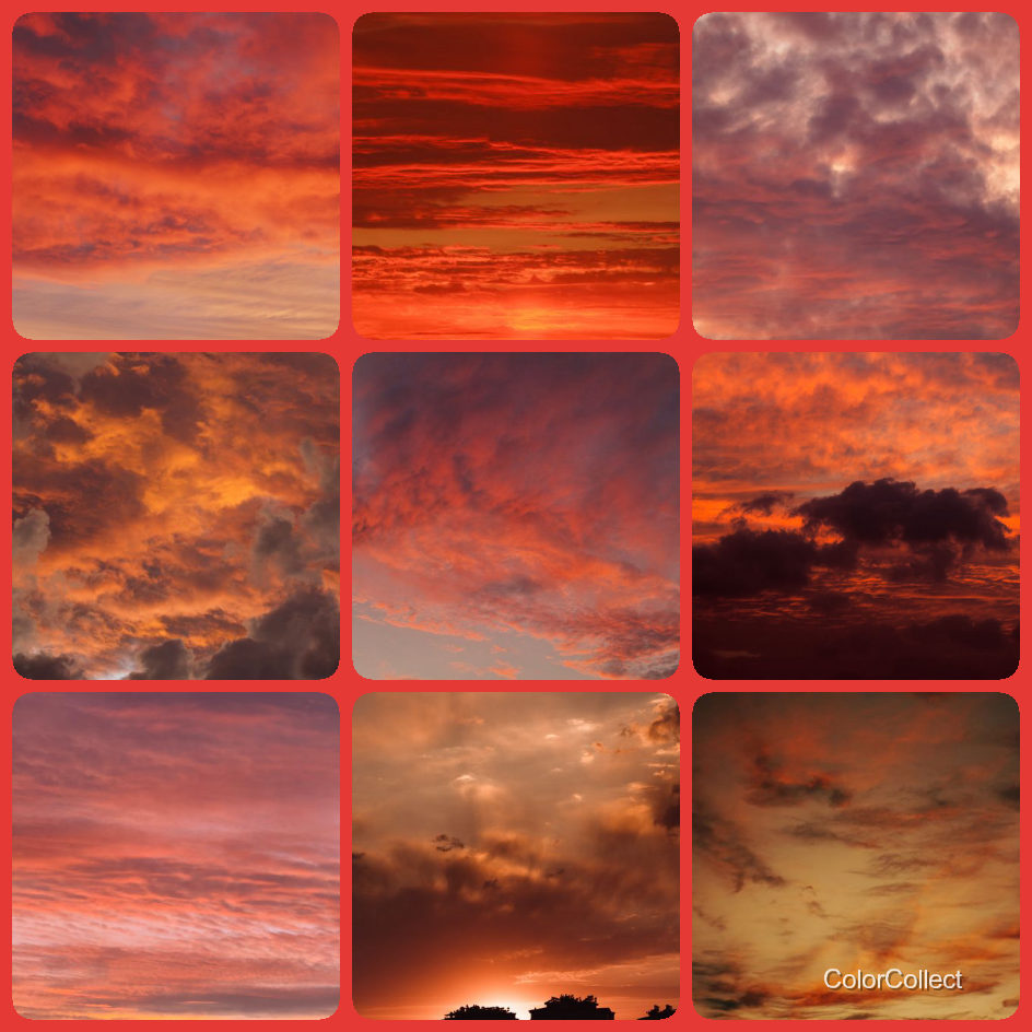 A ColorCollect photo montage in Red, nine real-world photos matching the color.