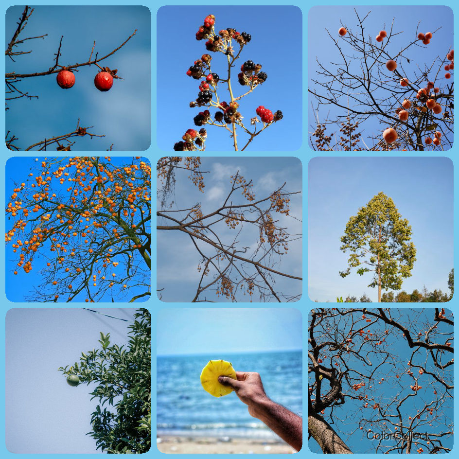 A ColorCollect photo montage in Sky, nine real-world photos matching the color.